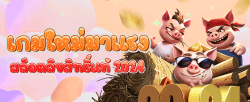 คืนยอดเสีย VIP รายวัน promotion